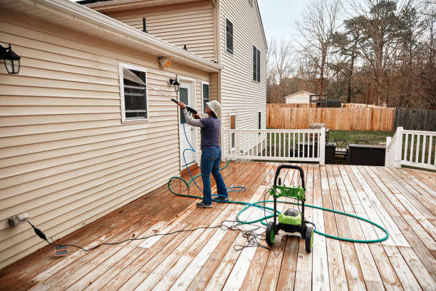 Best Pressure Washing Driveway  in Pierson, FL