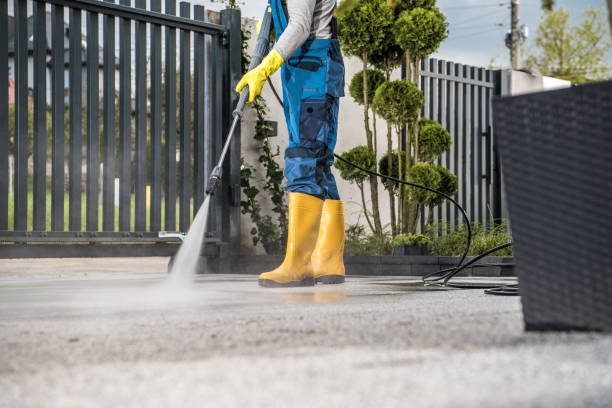 Best Deck Pressure Washing  in Pierson, FL