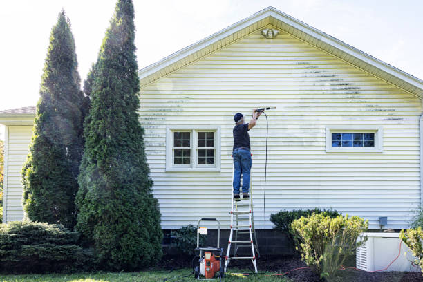 Best Garage Pressure Washing  in Pierson, FL