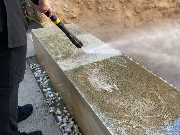 Best Roof Pressure Washing  in Pierson, FL