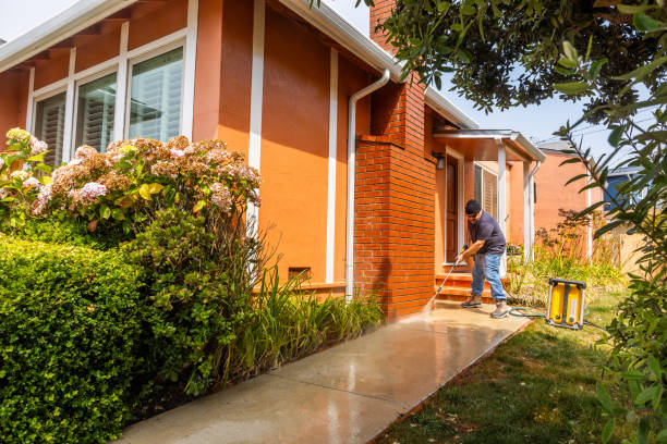 Best Deck Pressure Washing  in Pierson, FL